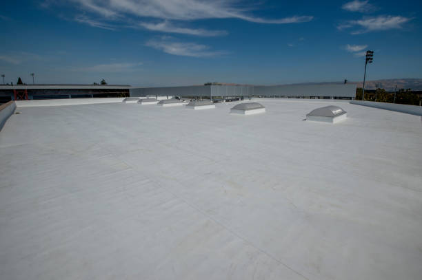 Best Roof Coating and Sealing  in Euclid, OH